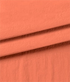 IMAGE_T