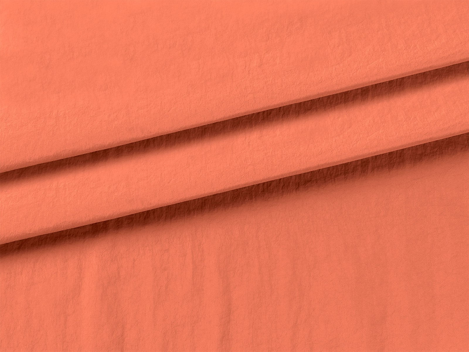 IMAGE_L
