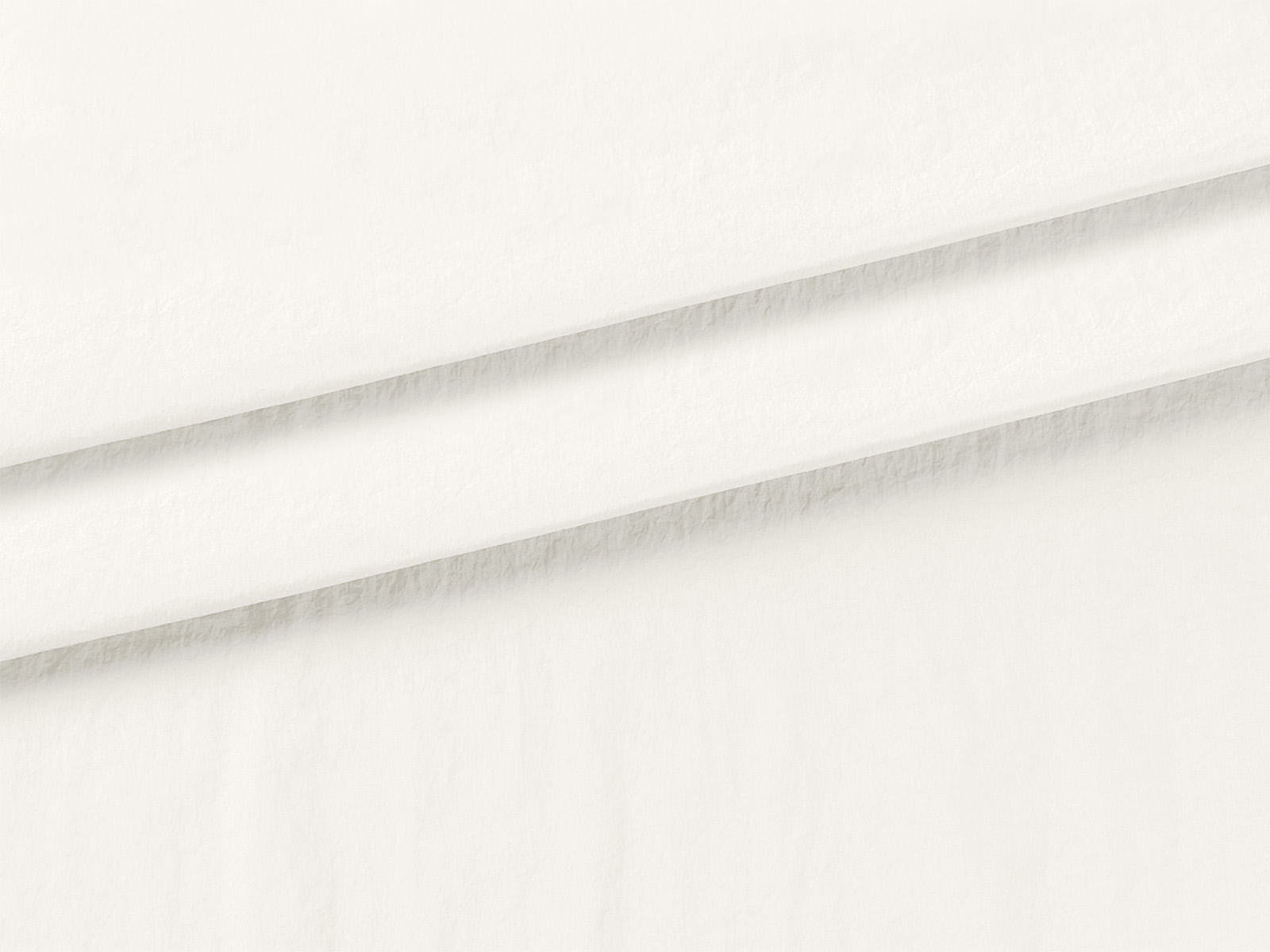 IMAGE_L