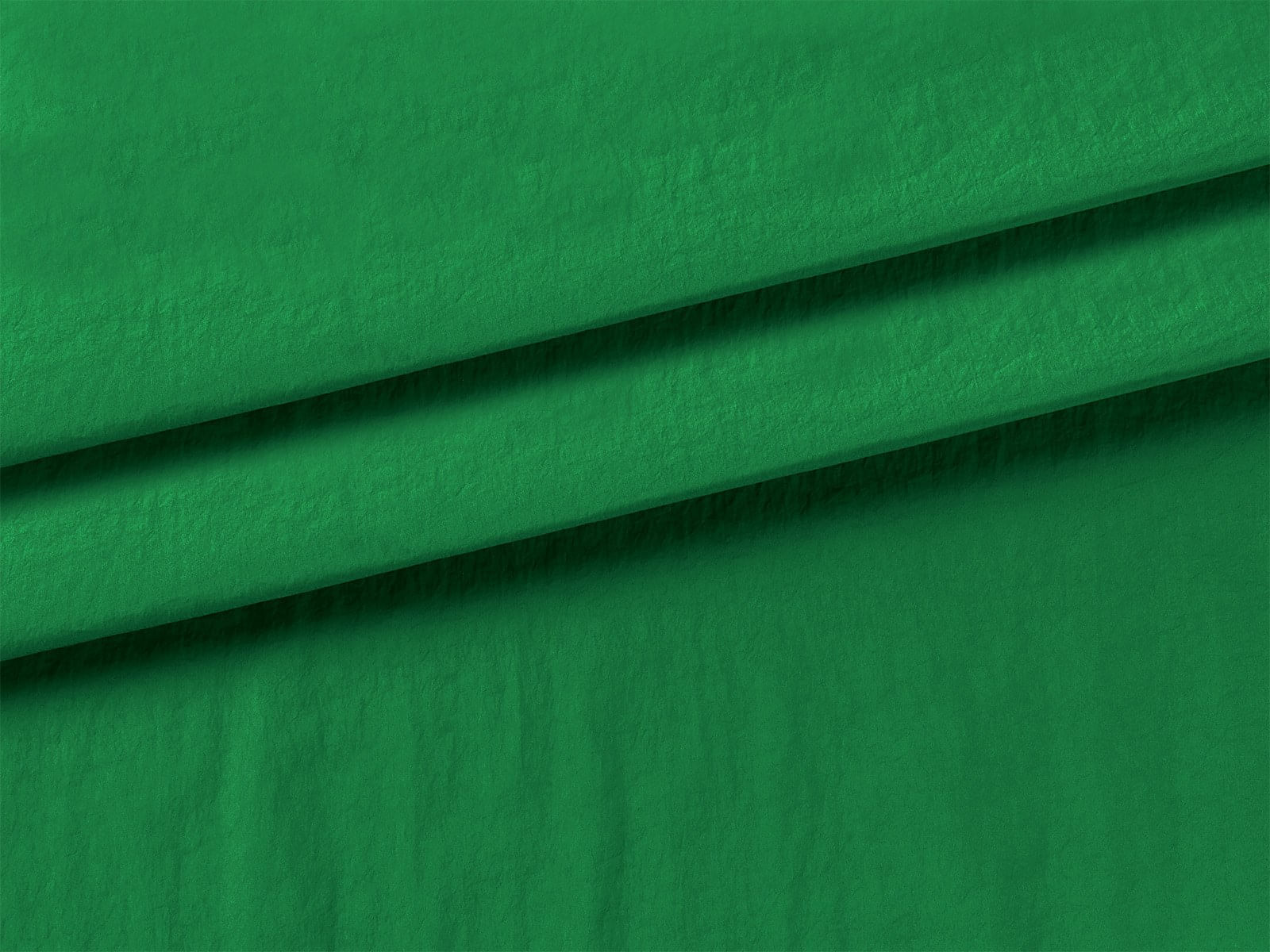 IMAGE_L