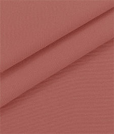 IMAGE_T