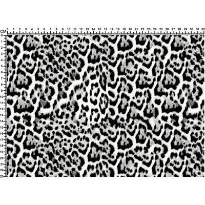 IMAGE_L