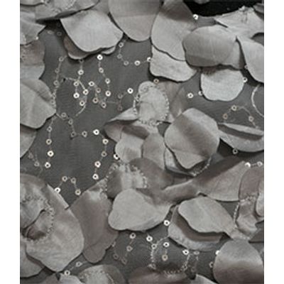 IMAGE_T