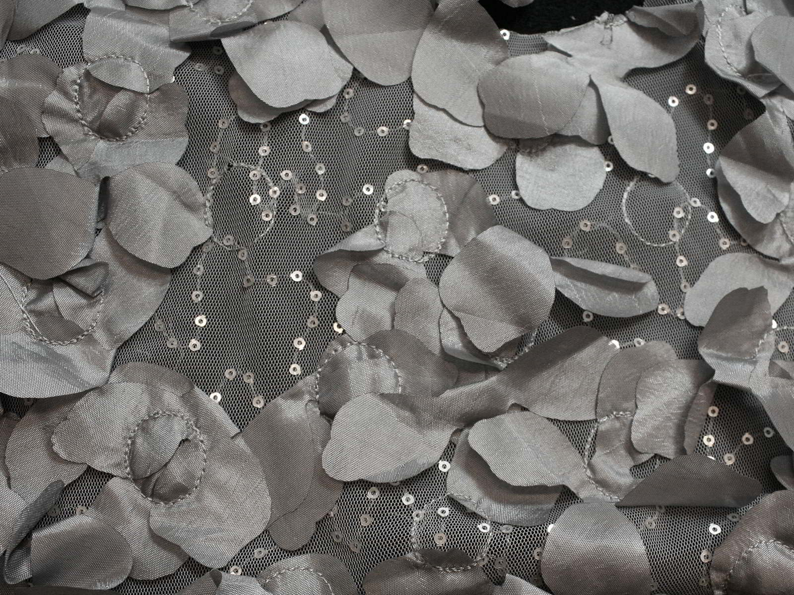 IMAGE_L