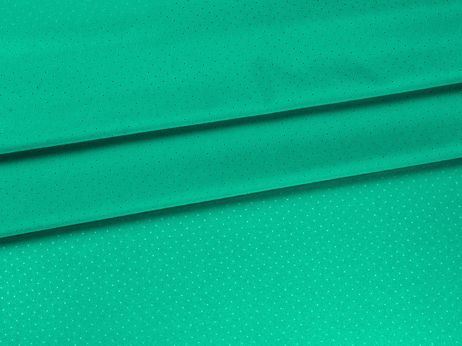 IMAGE_L