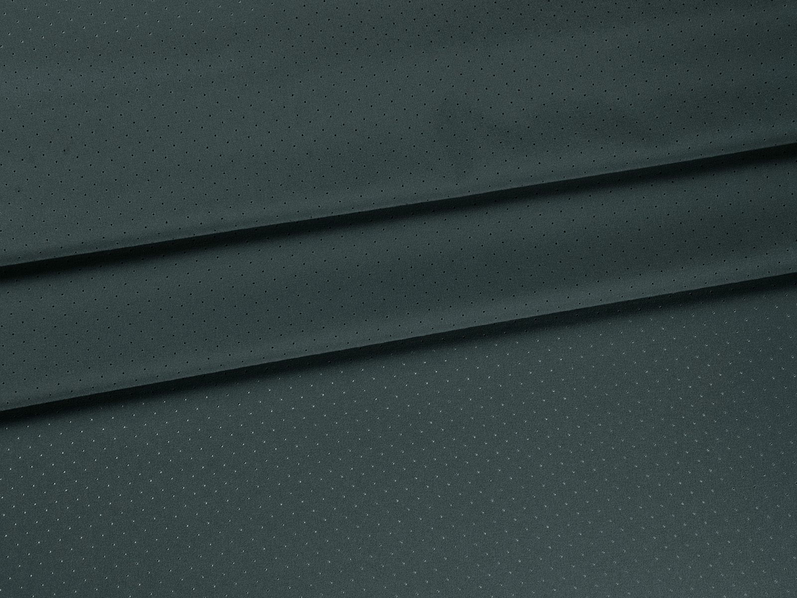 IMAGE_L