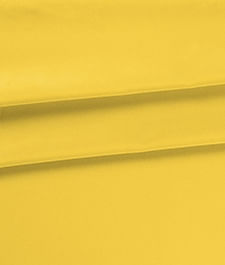 IMAGE_T
