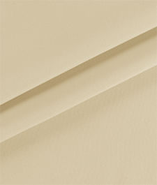 IMAGE_T