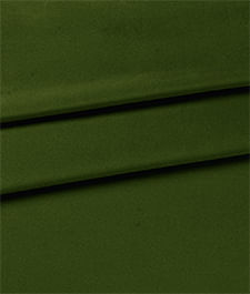 IMAGE_T