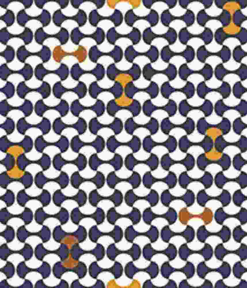 IMAGE_T