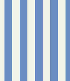 IMAGE_T