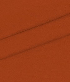 IMAGE_T