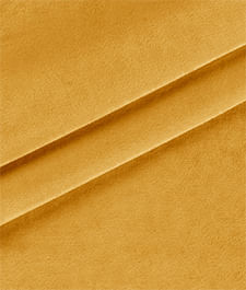 IMAGE_T