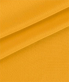 IMAGE_T