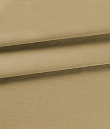 IMAGE_T
