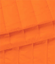 IMAGE_T