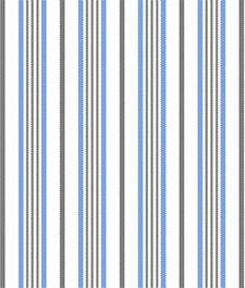 IMAGE_T