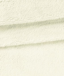 IMAGE_T