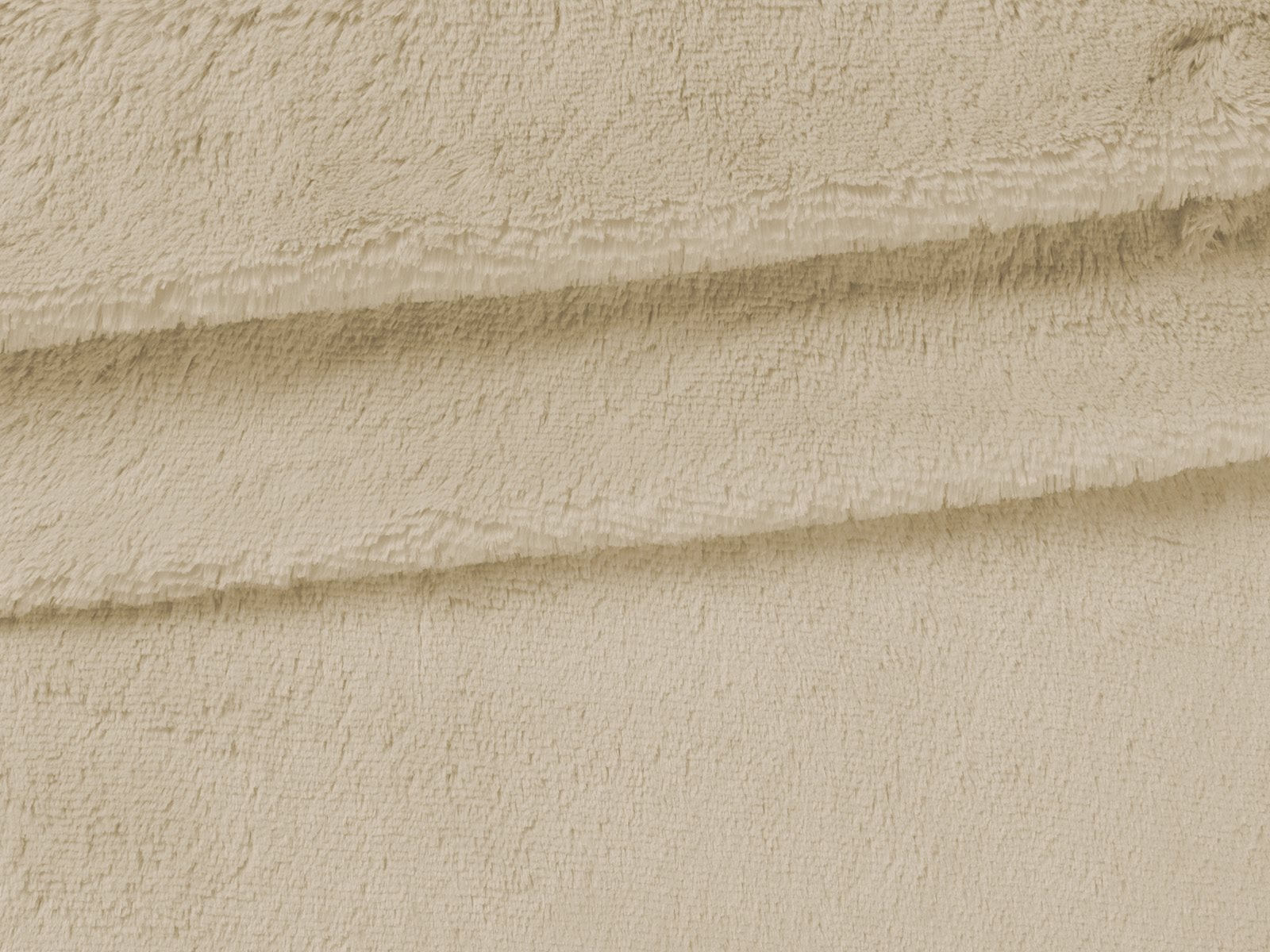IMAGE_L