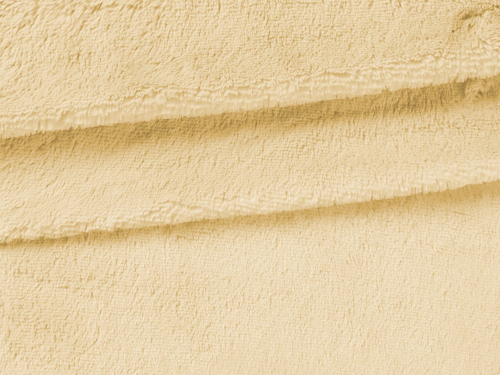 IMAGE_L