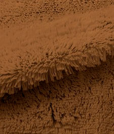 IMAGE_T