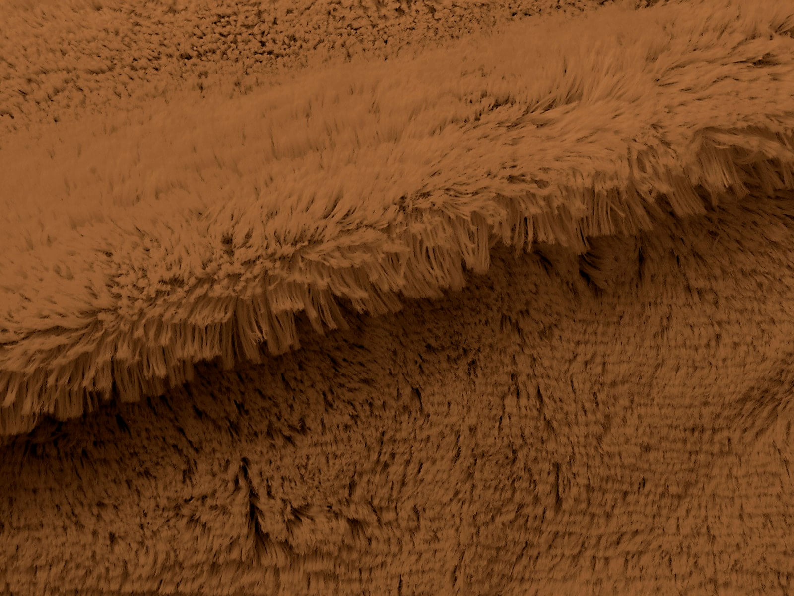 IMAGE_L