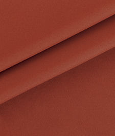 IMAGE_T