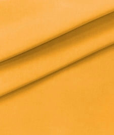 IMAGE_T