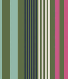 IMAGE_T