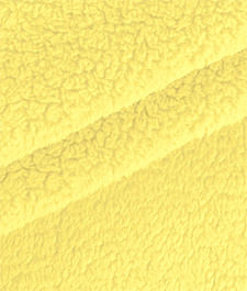 IMAGE_T