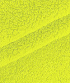 IMAGE_T