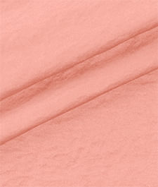 IMAGE_T