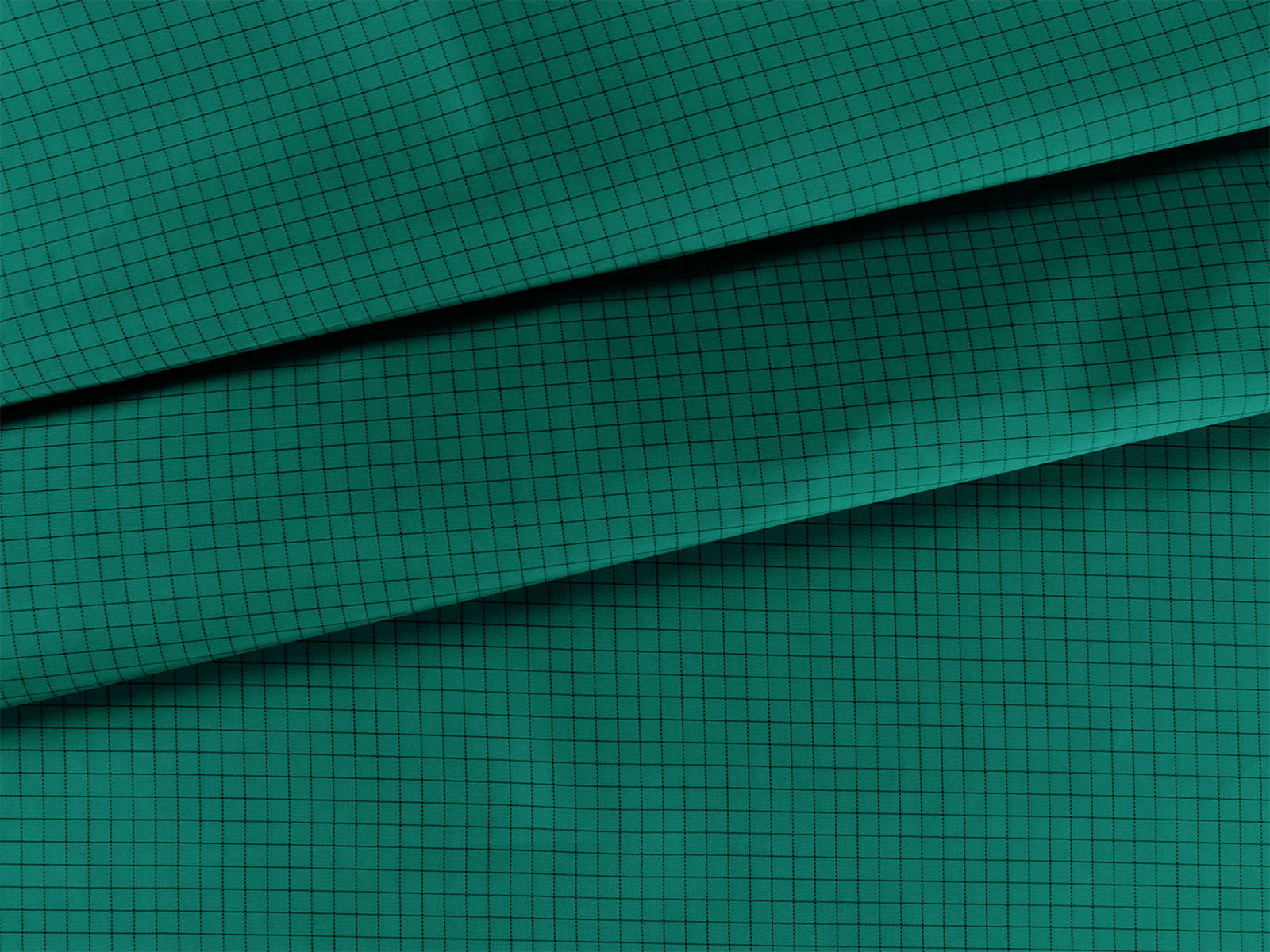 IMAGE_L