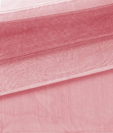 IMAGE_T