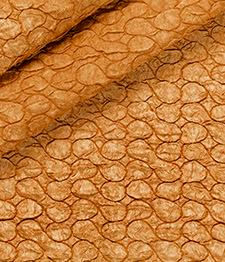 IMAGE_T