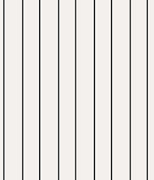 IMAGE_T