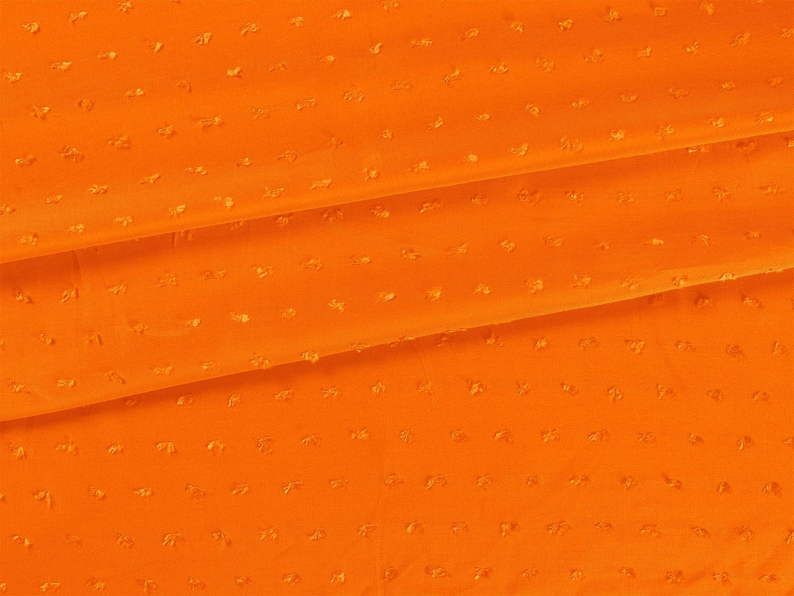 IMAGE_L