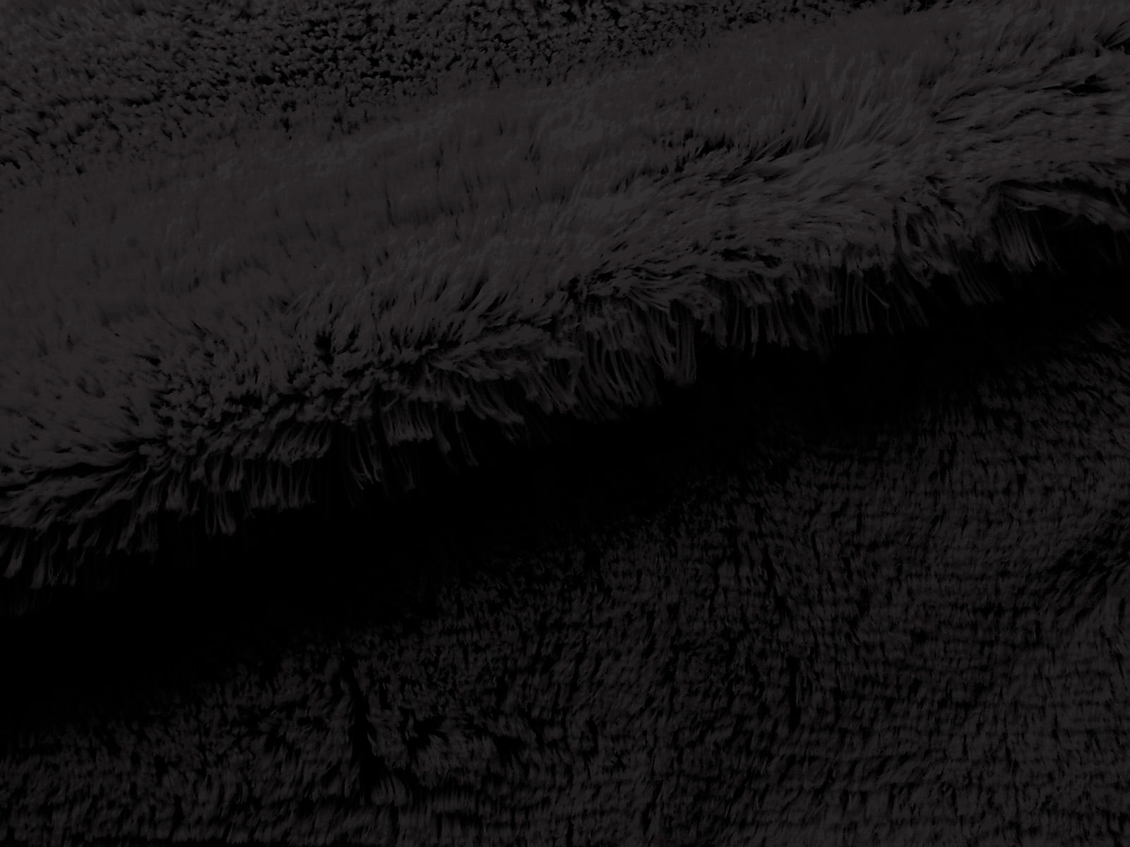 IMAGE_L