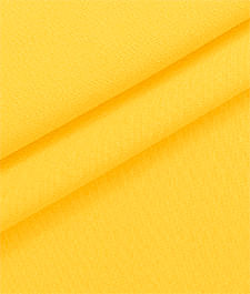 IMAGE_T