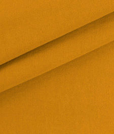 IMAGE_T