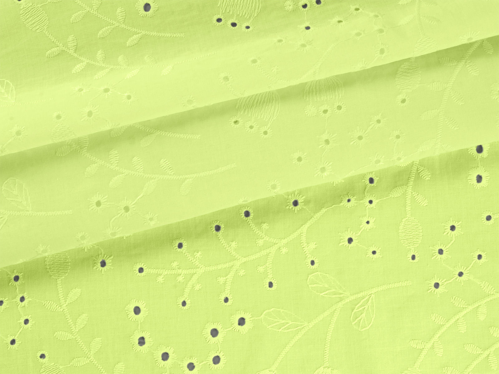 IMAGE_L