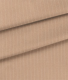 IMAGE_T