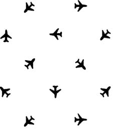 IMAGE_T