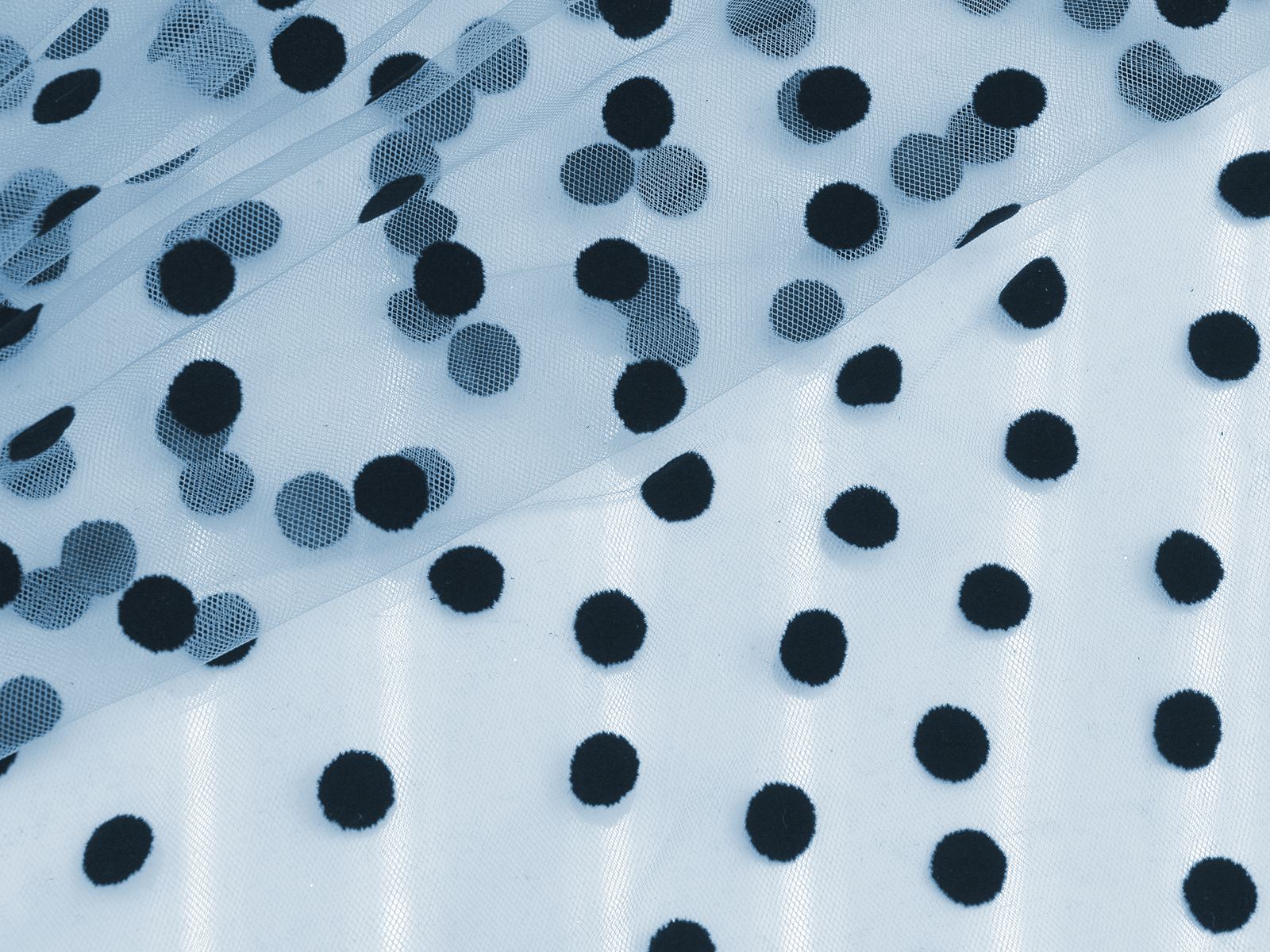 IMAGE_L