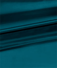 IMAGE_T