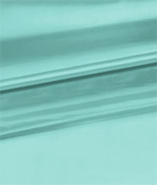 IMAGE_T