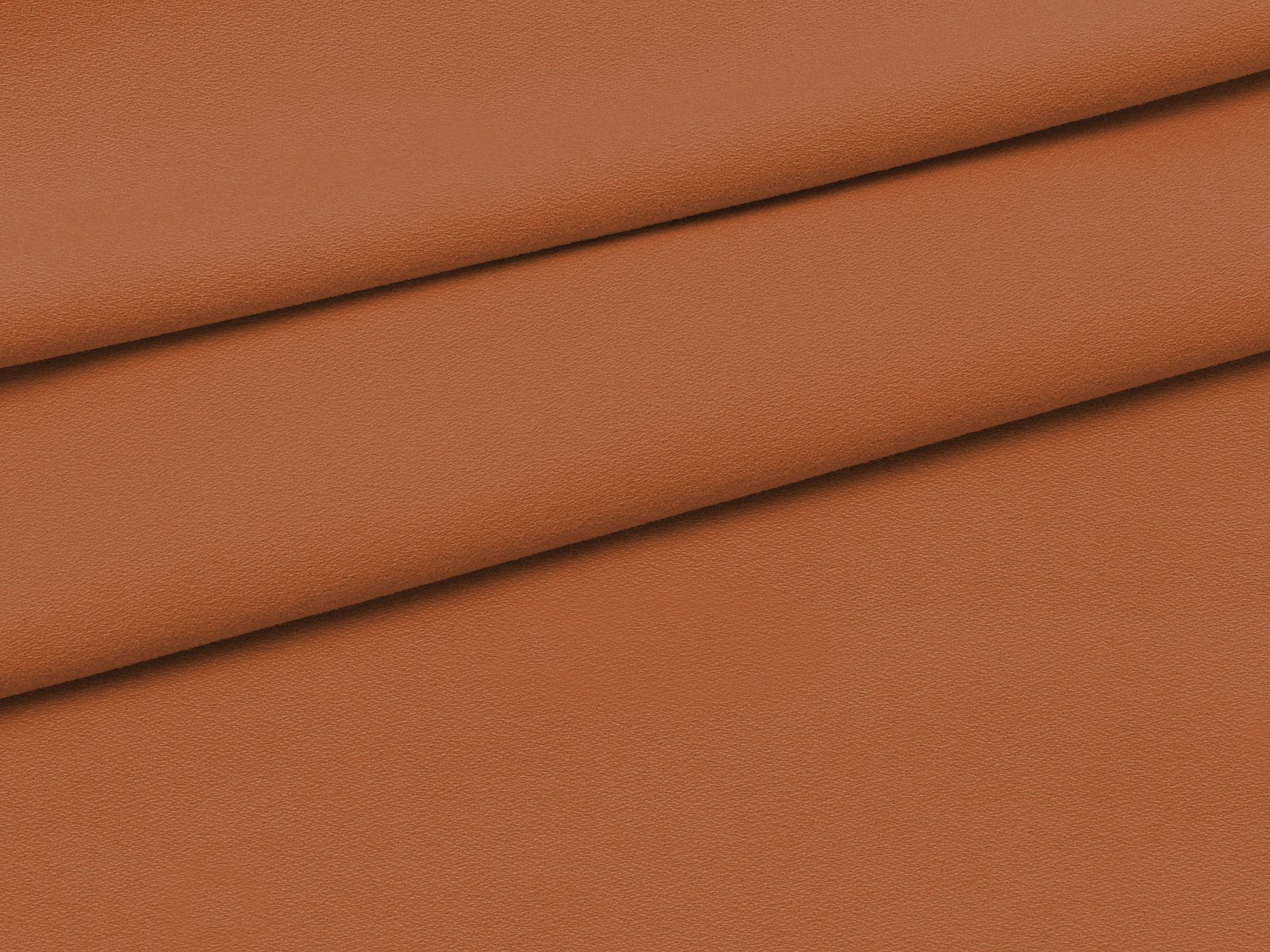 IMAGE_L