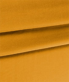 IMAGE_T
