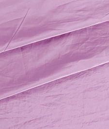 IMAGE_T