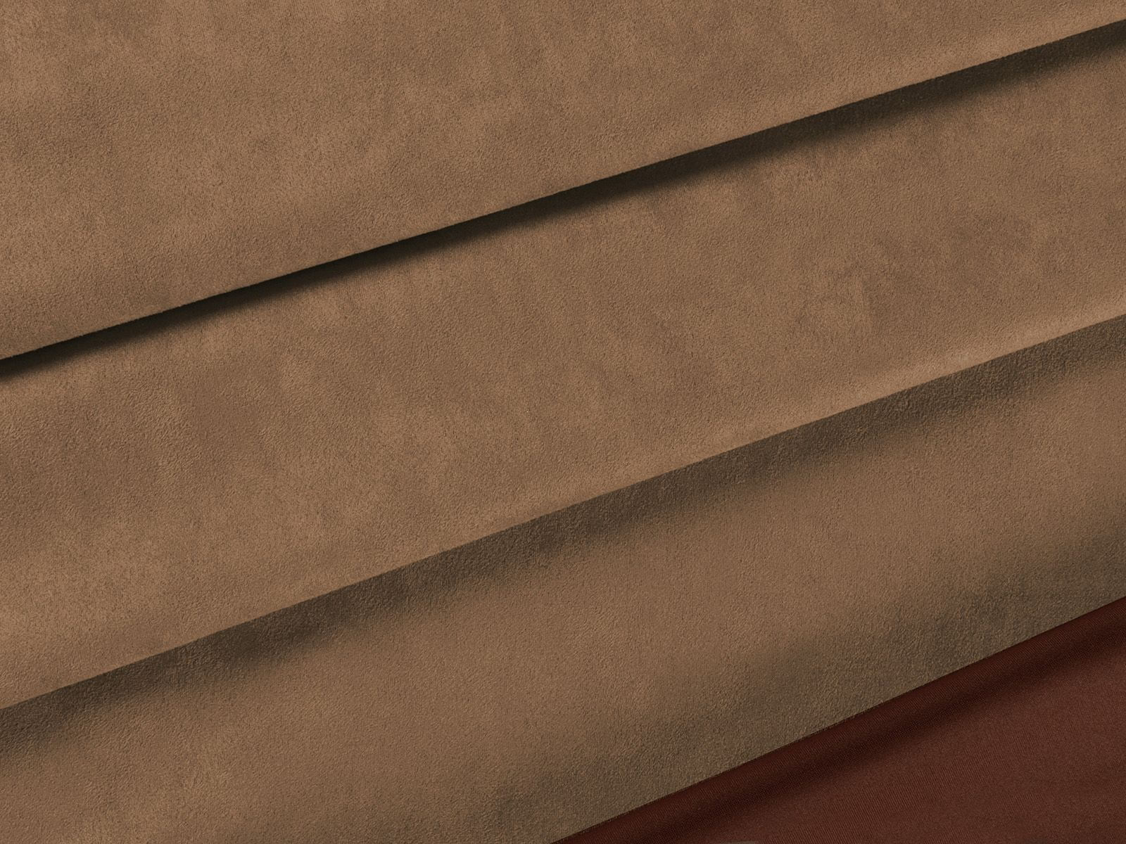 IMAGE_L